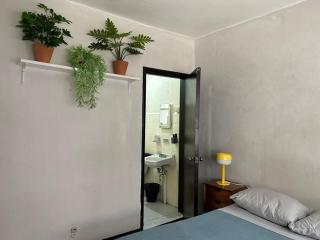 Cozy Roma Apt Heart of the City - Città del Messico - 5