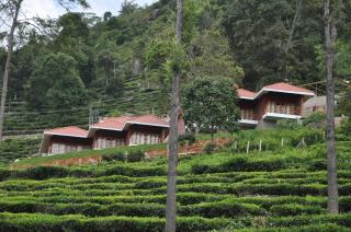 Hanging Huts Resorts - Kotagiri - 0