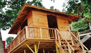 Hanging Huts Resorts - Kotagiri - 9