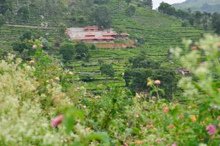 Hanging Huts Resorts - Kotagiri - 6