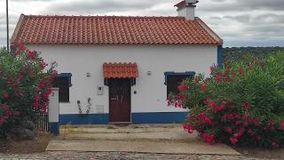 Nova Quinta Moderna TORRAMO em Oliveiras, Campo de Laranjas, na Nacional 2, Alentejo 13750 m2 - Torrão - 5