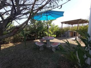 Faro Bambú - Casa redonda bambú - 1