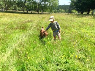 Height of Dunedin Serviced Farm Stay - Dunedin - 1