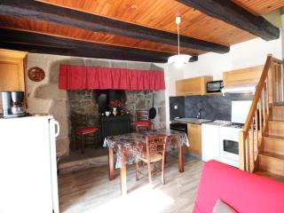 Charmante maison de campagne avec terrasse, cheminée et jardin, animaux acceptés, près des monts du Cantal. - FR-1-742-33 - Ladinhac - 7