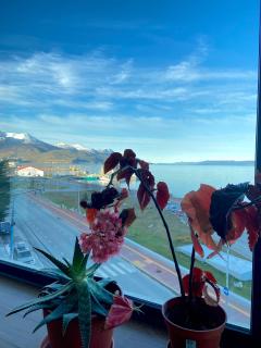 Apartamento Antártida Park - Ushuaia - 5