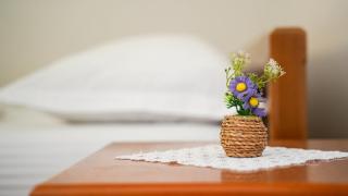 Deluxe groundfloor apartment with beautiful garden for long term rental - 9