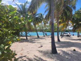 Penthouse Apartment with Bay and Mountain Views, Rooftop BBQ, AC, Fast WiFi, Near Saladilla Beach, Barahona - Santa Cruz de Barahona - 5