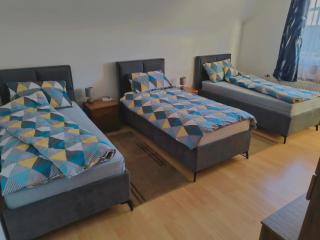 APARTMAN PETAR - Slavonski Brod - 3