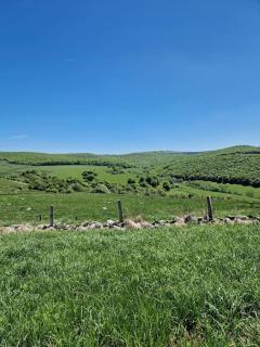 Buron de Léon, en plein cœur de l Aubrac - 3