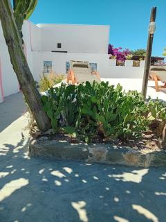 dammuso bianco - Pantelleria - 7