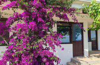 Villa ASTROLOGY - 3
