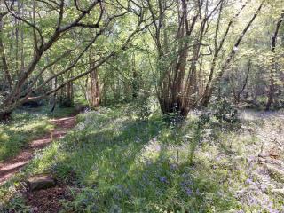 Treetops - Bright 2 Bed Flat - Super Location - 6