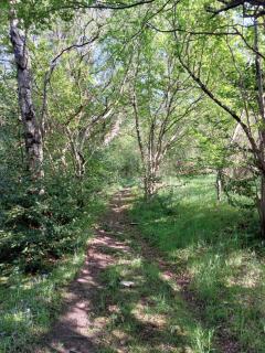 Treetops - Bright 2 Bed Flat - Super Location - 8