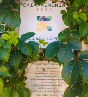 Olive Lemon Biophilic House & Lush Forest Garden - Vamos - 5