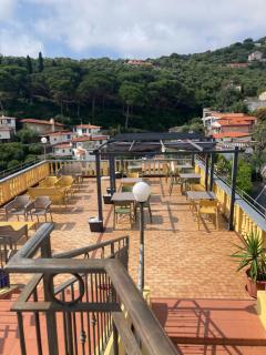 Ulivo - Diano Marina - 6