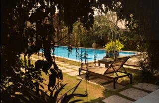 Orchid Tree Nature Stays - 3