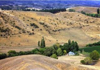Studio in the grape vines - Cromwell - 0