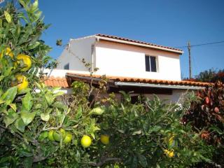Orchard Cottage - Granadilla de Abona - 9
