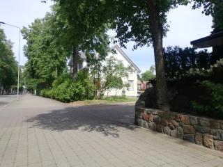 Šalia Birutės parko - 1