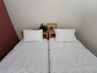 Villa Olive Przno 4 - Studio - Parking - Budua - 5