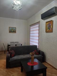 Spacious Apartment in Center, near Nizami st, Fountain Square and Sahil Metro Station - Baku - 6