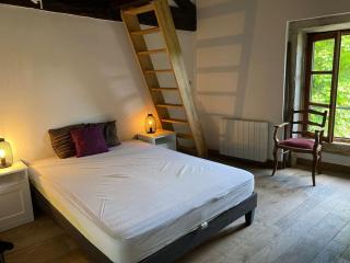 Château Frontonas gîte ferme - Frontonas - 7