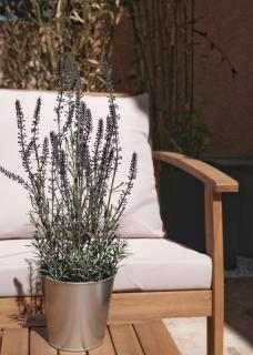 Studio rénové avec belle terrasse - Aix-en-Provence - 8