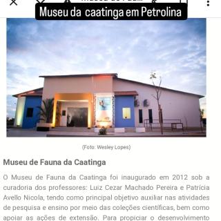 Casa de temporada em Petrolina-pe - 5