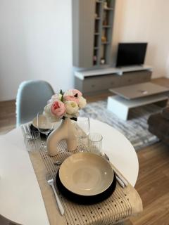 EVRA APARTMENTS Royal 2 - Timişoara - 5