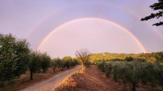 Villa Belfiore - 2