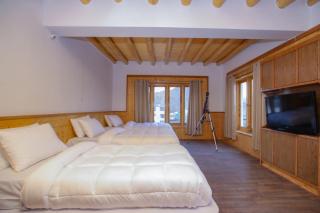Bunk Central Hostel - Leh - 1