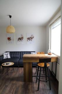 Rovaniemi City Centre Apartment - 6