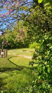 Camping 46 Rainettes - Goujounac - 1