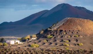 LANZAROTE Casa Volcánica-Anclada sobre la lava del volcán - Montaña Blanca - 7