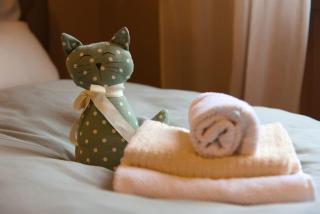 Tre Aceri Comfort House - Udine - 6