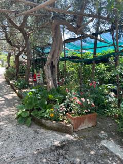 La Petra - Vico Equense - 3