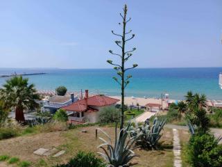 SEA PARADISE - 0