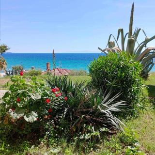 SEA PARADISE - Nea Moudania - 8