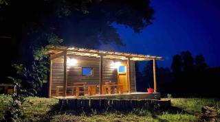 LAKE FISHING Resort - Lukinić Senovec - 8
