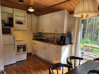 Sala Cabin - Sala - 1