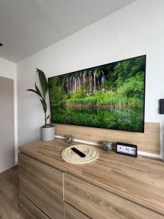 LE RIO - LOGEMENT ENTIER AU CENTRE DU NEUDORF f1 - Strasburgo - 0