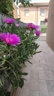 Darsena b&b tra arte e mare - 9