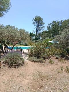 la Farigoulette - Lorgues - 4