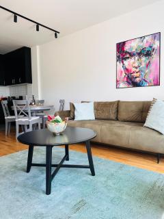 A 207-Fruske Residence - Vrdnik - 6