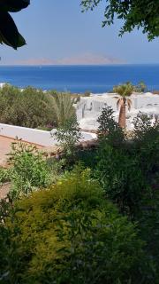 Appartament in Domina Coral Bay - 0