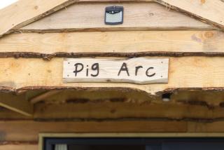 The Pig Arc - 3