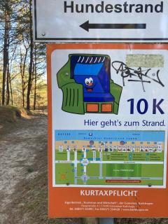 Finndorf am Strand mit Hund - Trassenheide - 4
