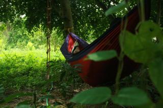 Tenpy Tiny Alice at Hoopinkai's Farm Retreat, Bangalore - 8