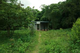 Tenpy Tiny Alice at Hoopinkai's Farm Retreat, Bangalore - 5