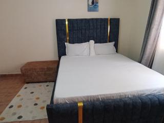 Cosy Loft Furnished Apartment - Nairobi - 4